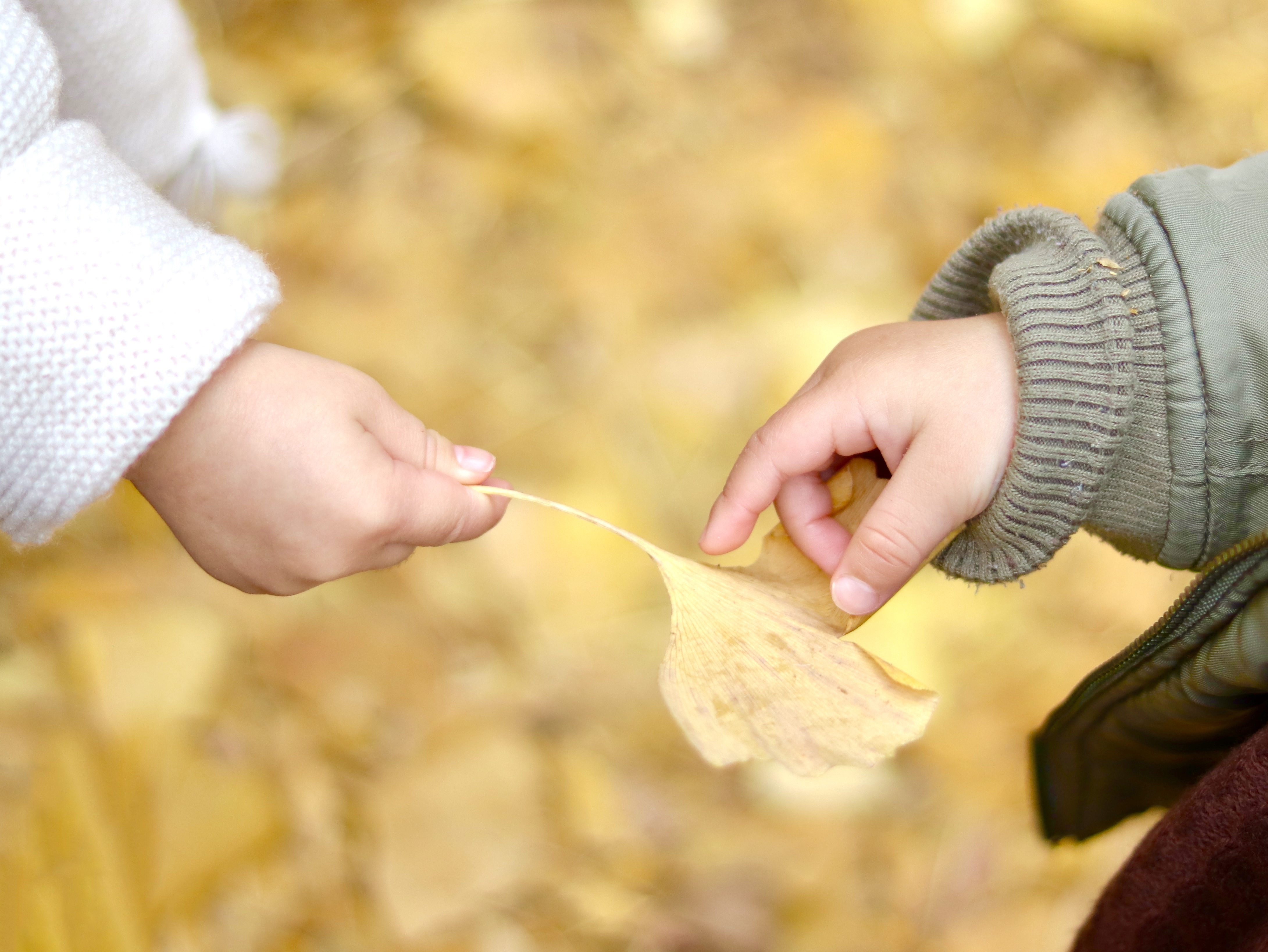 ピラティスの姿勢確認をしているイメージ